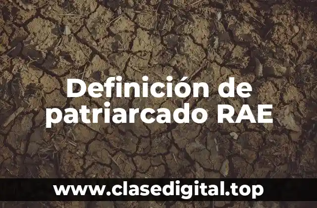 Definición de patriarcado RAE