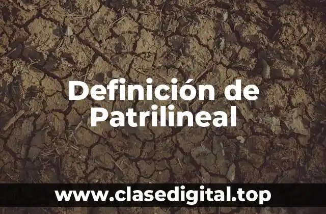 Definición de Patrilineal