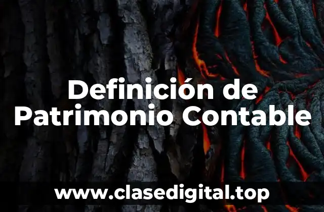 Definición de Patrimonio Contable