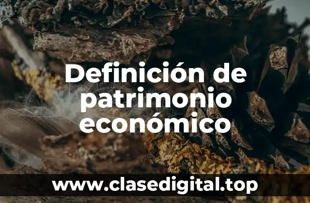 Ejemplos de patrimonio económico
