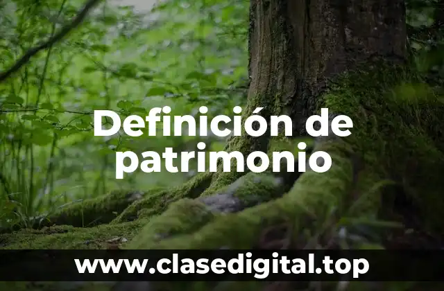 Definición de patrimonio