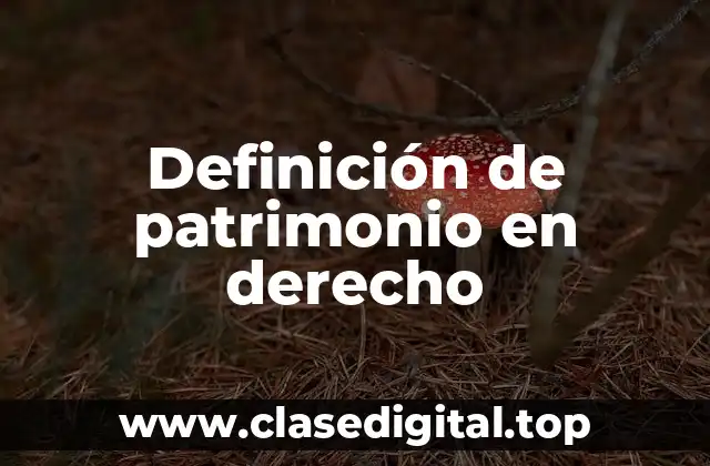 Ejemplos de patrimonio en derecho