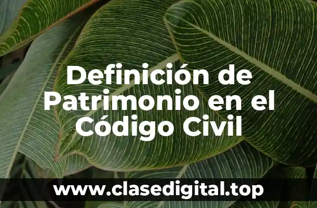 Definición de Patrimonio en el Código Civil