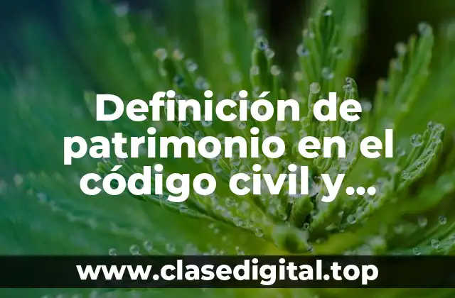 Definición de patrimonio en el código civil y comercial