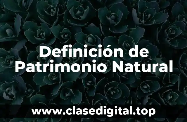 Definición de Patrimonio Natural