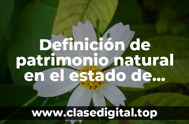 Definición de patrimonio natural en el estado de México