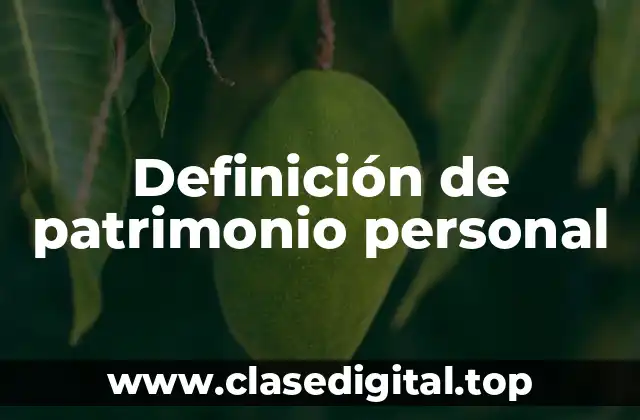 Definición de patrimonio personal