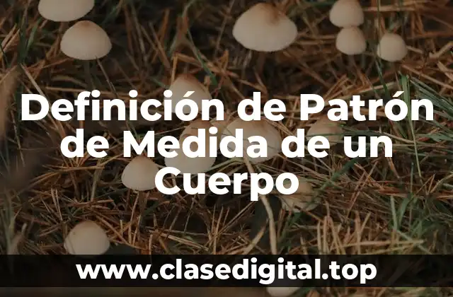 Definición de Patrón de Medida de un Cuerpo