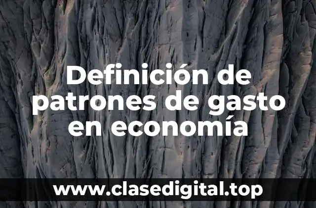 Definición técnica de patrón de gasto