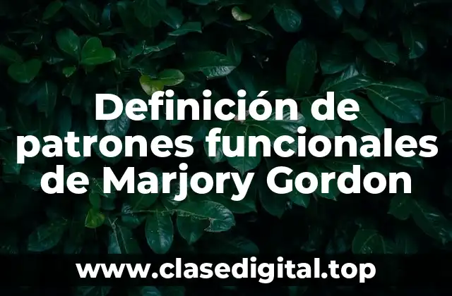 Definición técnica de patrones funcionales de Marjory Gordon