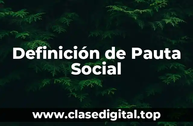 Definición de Pauta Social