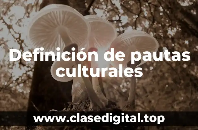 Definición de pautas culturales
