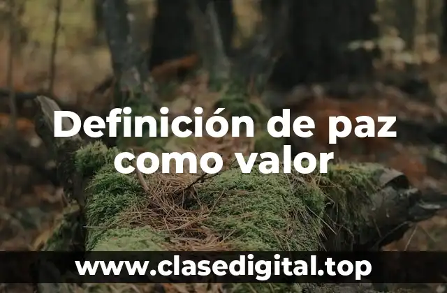 Definición técnica de paz como valor