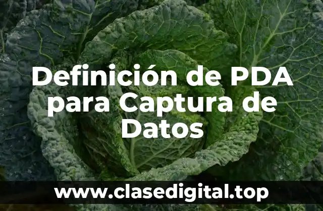 Definición técnica de PDA