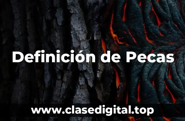 Definición de Pecas