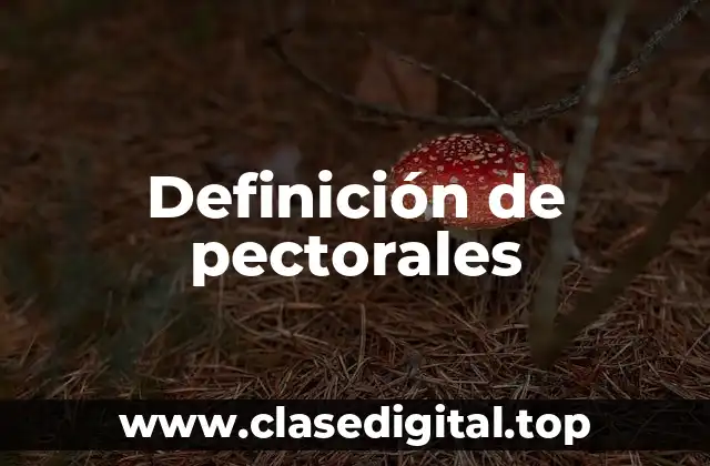 Definición de pectorales