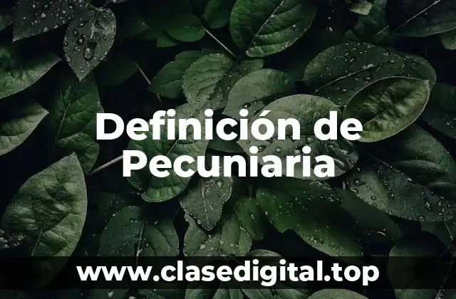 Definición de Pecuniaria