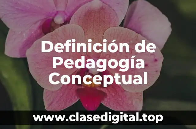Definición de Pedagogía Conceptual