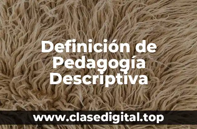 Definición técnica de Pedagogía Descriptiva