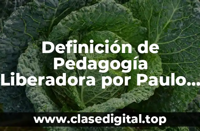 Definición de Pedagogía Liberadora por Paulo Freire