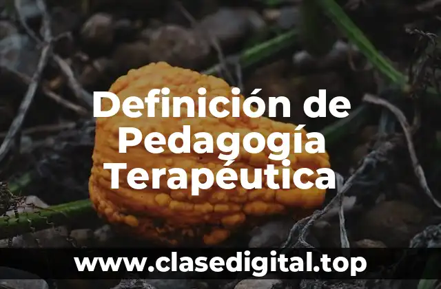 Definición de Pedagogía Terapéutica