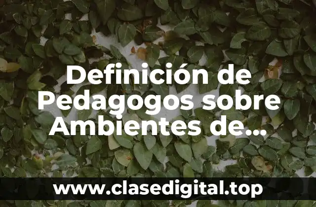 Definición de Pedagogos sobre Ambientes de Aprendizaje
