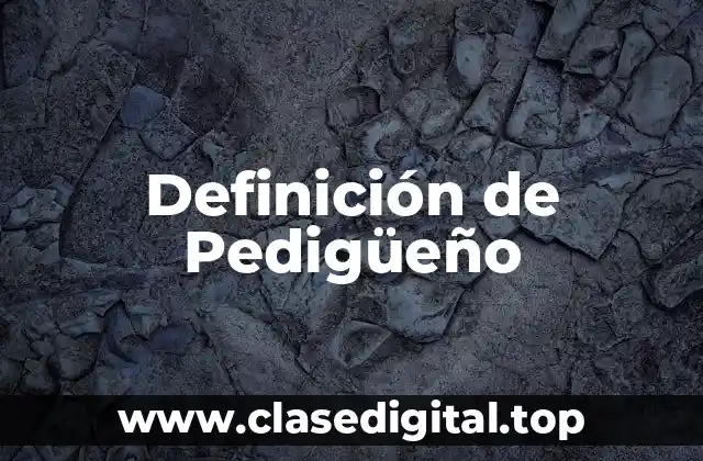 Definición de Pedigüeño