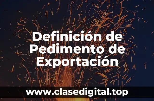 Definición de Pedimento de Exportación