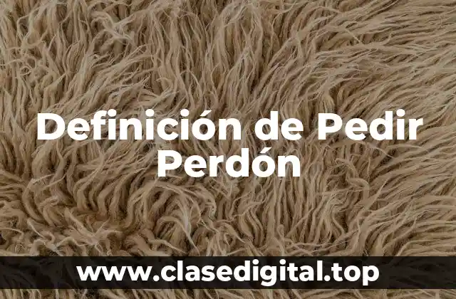 Definición de Pedir Perdón