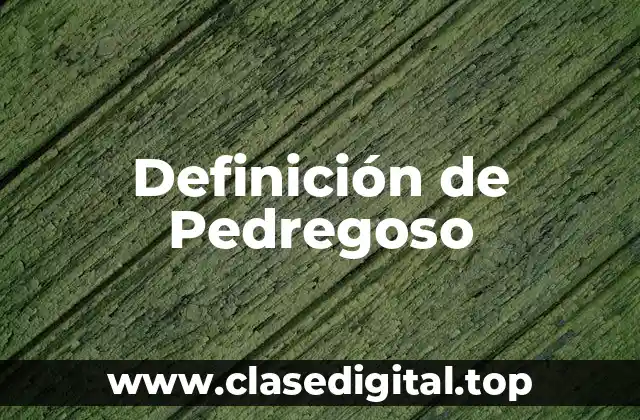 Definición de Pedregoso