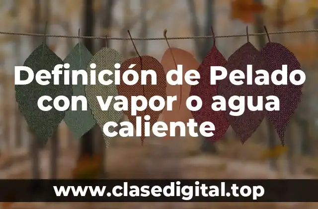 Definición de Pelado con vapor o agua caliente