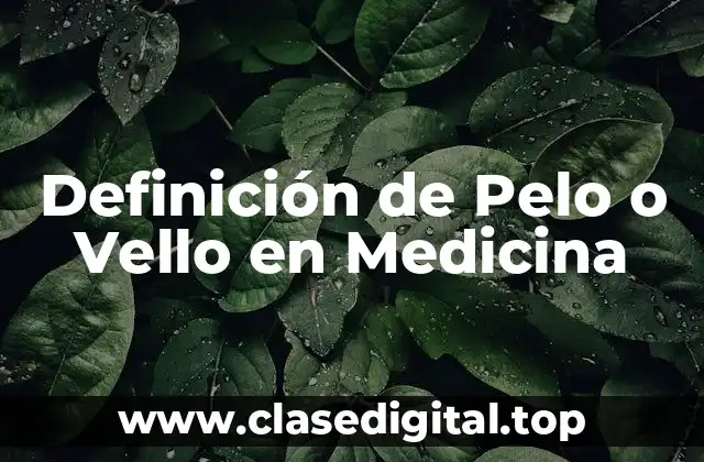 Definición de Pelo o Vello en Medicina