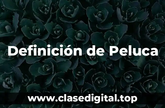 Definición de Peluca