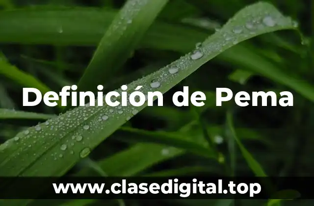 Definición técnica de Pema