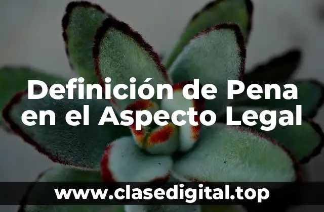 Definición de Pena en el Aspecto Legal
