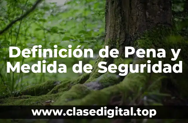 Definición técnica de Pena y Medida de Seguridad