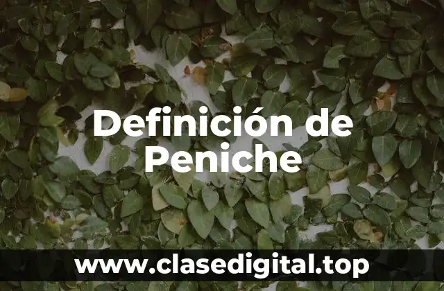 Definición de Peniche
