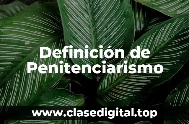 Definición de Penitenciarismo