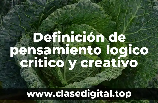 Definición de pensamiento logico critico y creativo