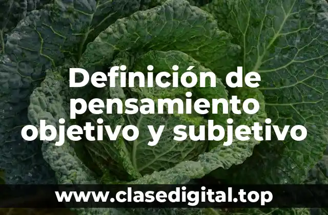 Ejemplos de pensamiento objetivo y subjetivo