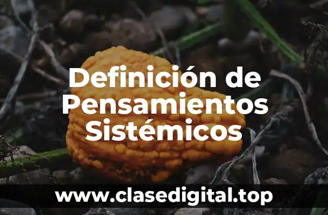 Definición de Pensamientos Sistémicos