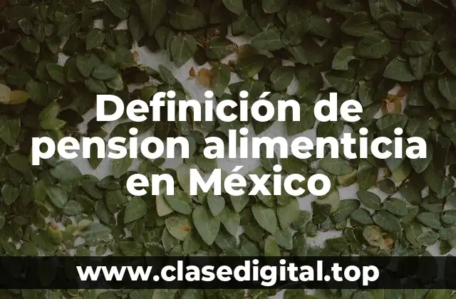 Definición de pension alimenticia en México