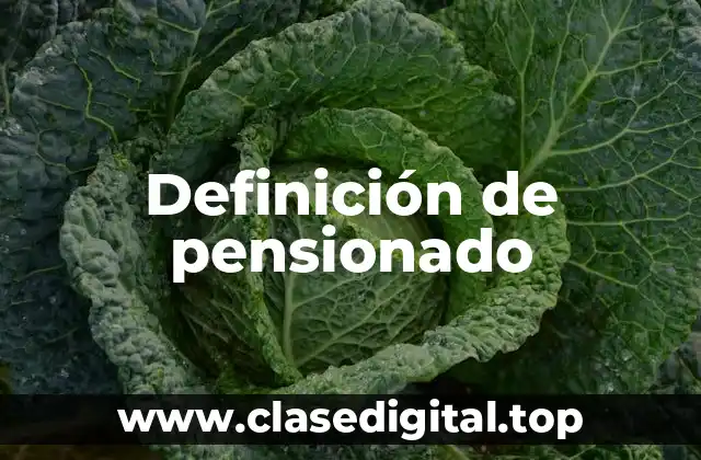 Definición de pensionado