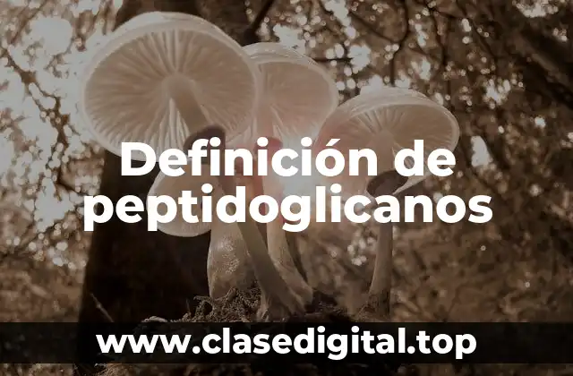 Definición de peptidoglicanos