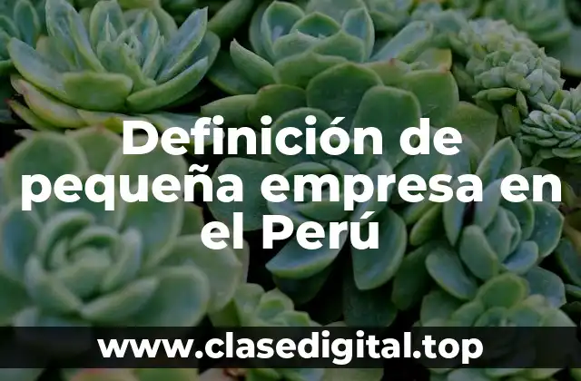 Definición de pequeña empresa en el Perú