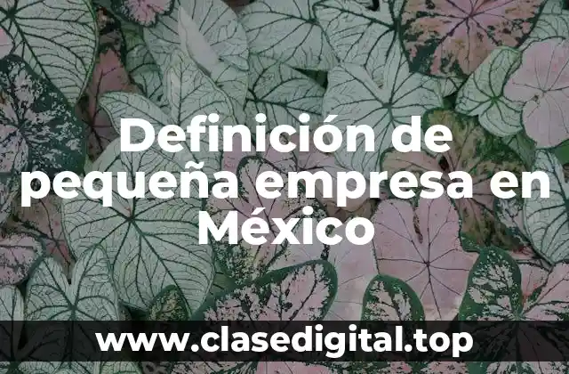 Definición de pequeña empresa en México