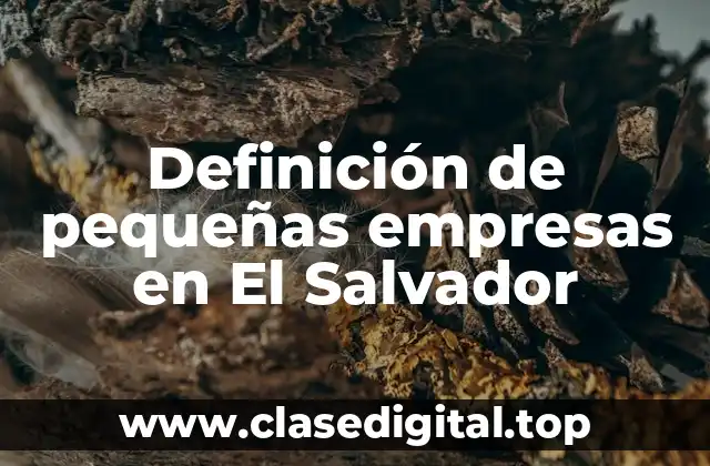 Definición de pequeñas empresas en El Salvador