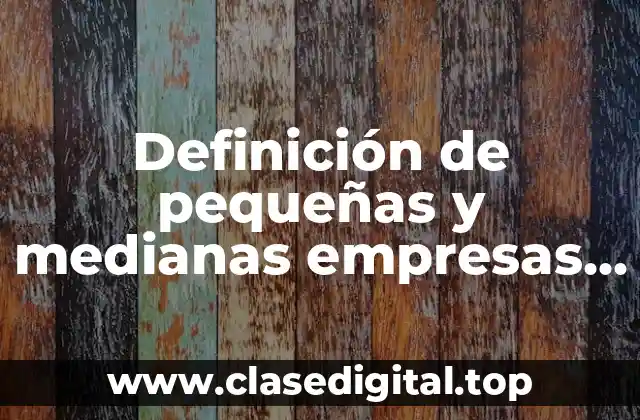 Definición técnica de pequeñas y medianas empresas en México