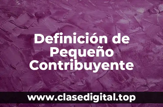 Definición de Pequeño Contribuyente