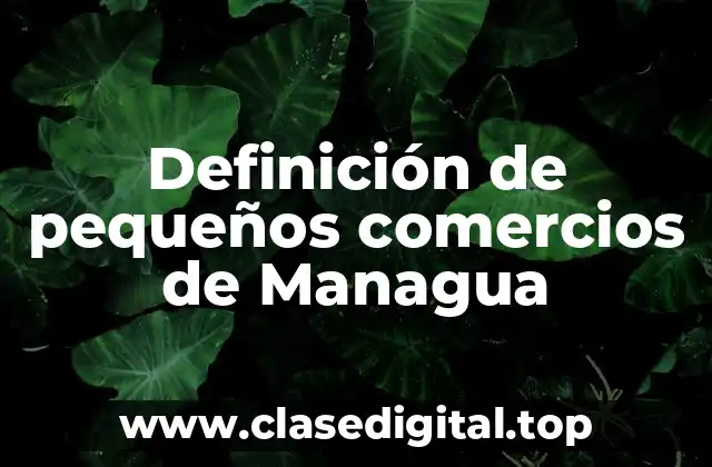 Definición de pequeños comercios de Managua